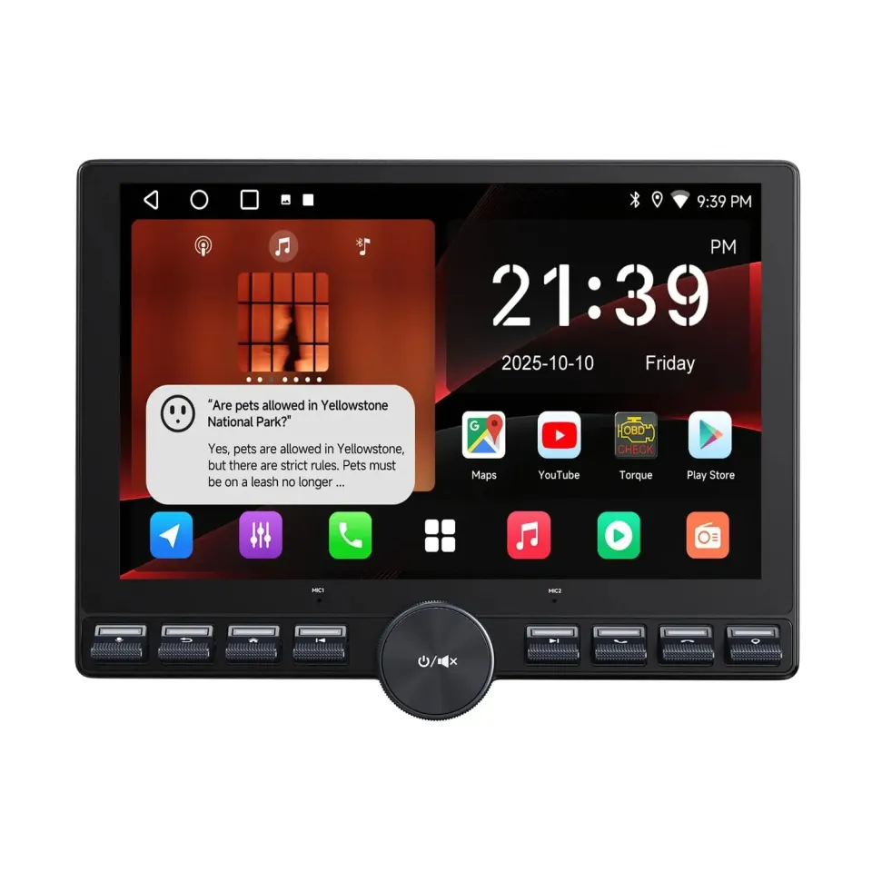 ATOTO A5L A5LG110PT autoradio Android 10,1" QLED 2+32GB