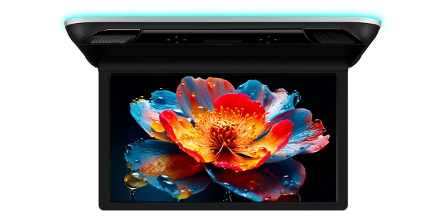 XTRONS ID CM215HD Monitor de Techo 21,5" Full HD IPS