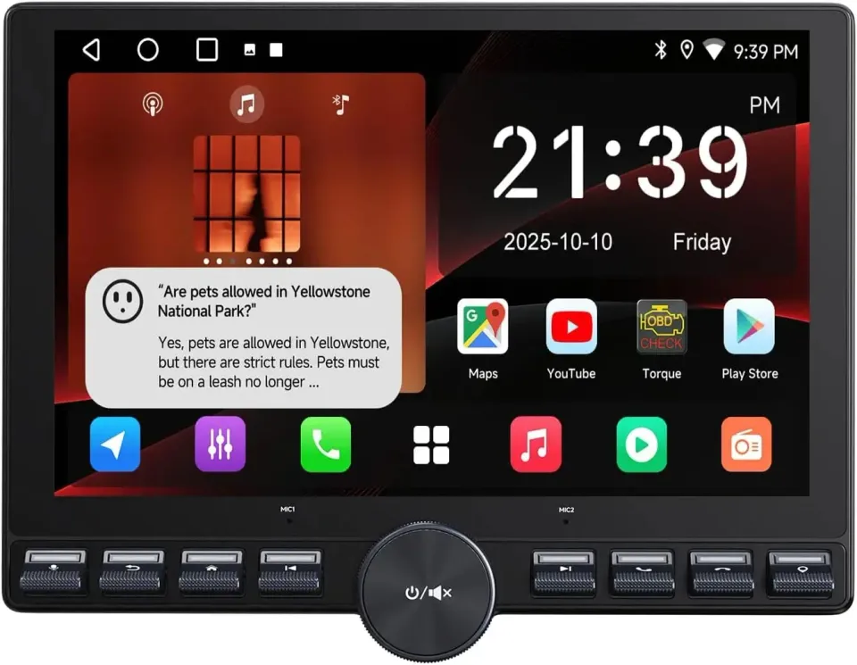 ATOTO A5L A5LG110PT autorradio 10,1" QLED CarPlay inalámbrico